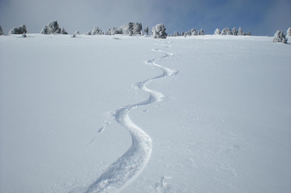 Dans la poudreuse